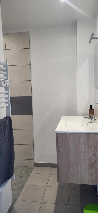 Magnifique Appartement Le Marronnier 종루프 롱지메르 외부 사진